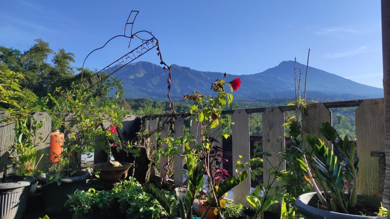 Tetebatu Terrace Homestay Eksteriør billede