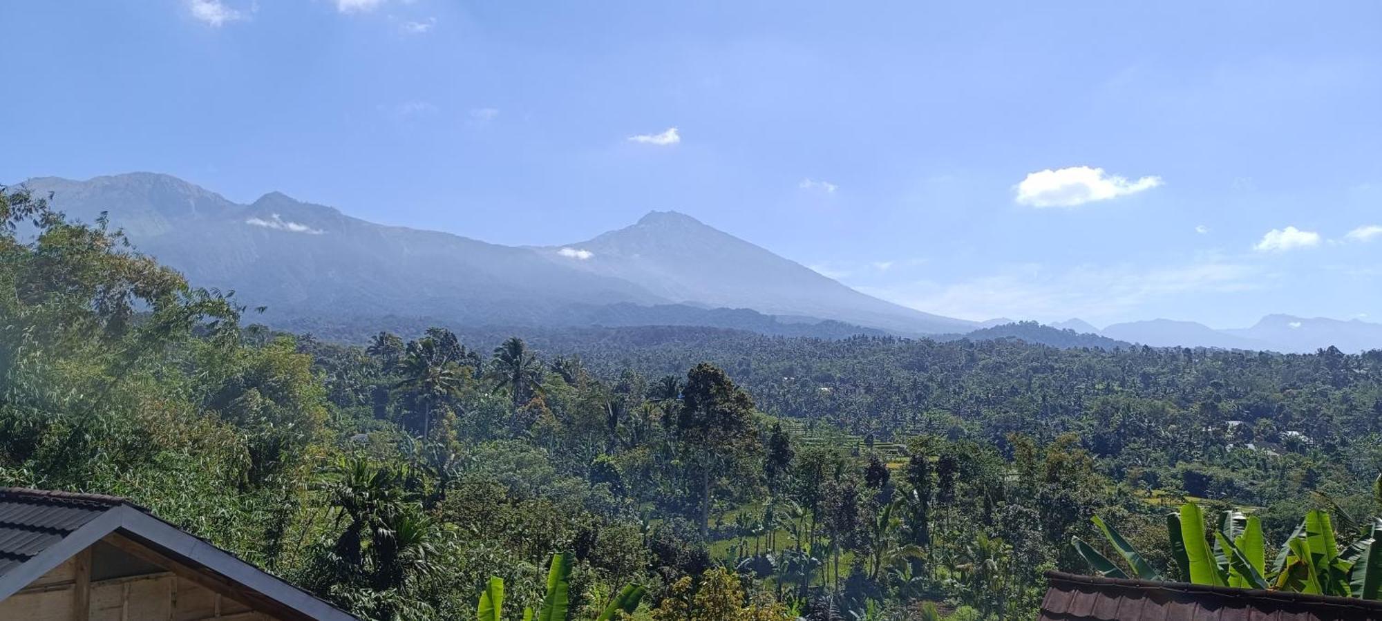 Tetebatu Terrace Homestay Eksteriør billede