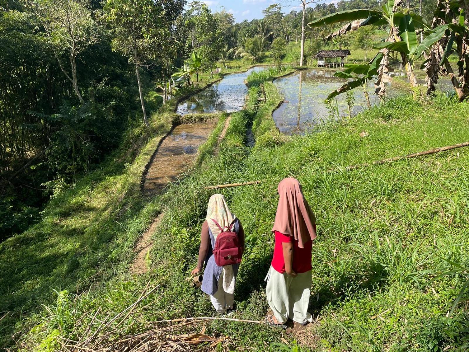 Tetebatu Terrace Homestay Eksteriør billede